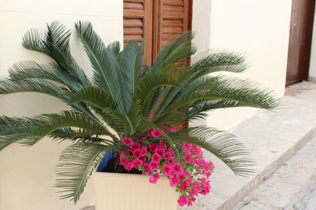 Palazzo Taormina Apartment Castellammare del Golfo Exterior foto